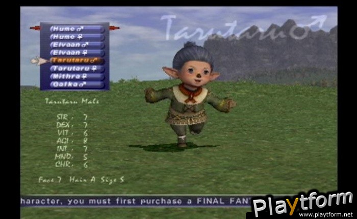 Final Fantasy XI (PlayStation 2)