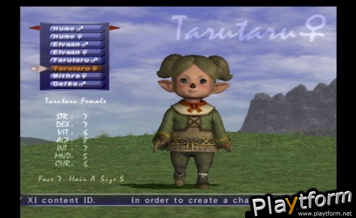 Final Fantasy XI (PlayStation 2)
