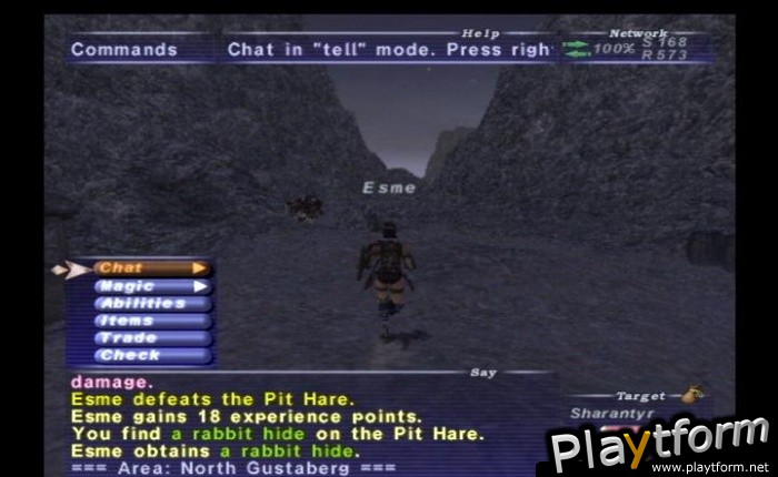 Final Fantasy XI (PlayStation 2)