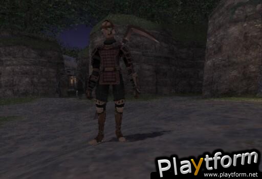 Final Fantasy XI (PlayStation 2)