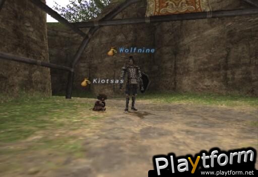 Final Fantasy XI (PlayStation 2)