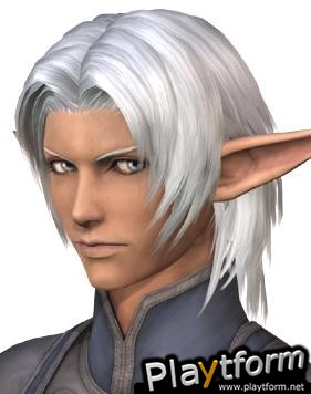 Final Fantasy XI (PlayStation 2)