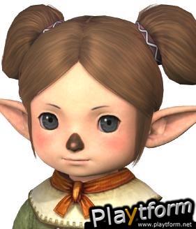 Final Fantasy XI (PlayStation 2)