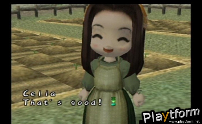 Harvest Moon: A Wonderful Life (GameCube)