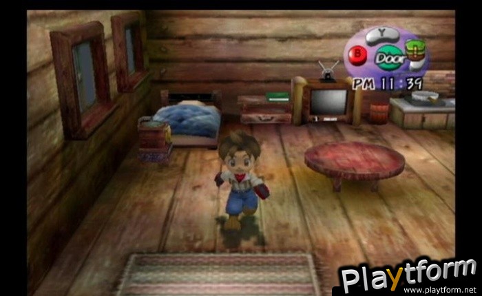 Harvest Moon: A Wonderful Life (GameCube)