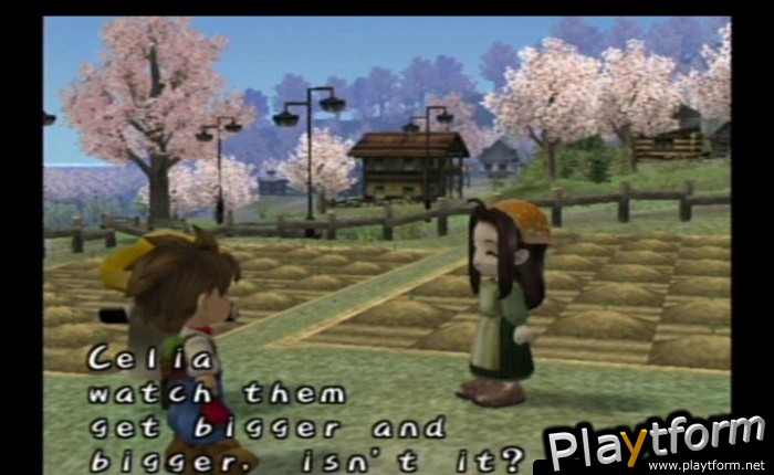 Harvest Moon: A Wonderful Life (GameCube)