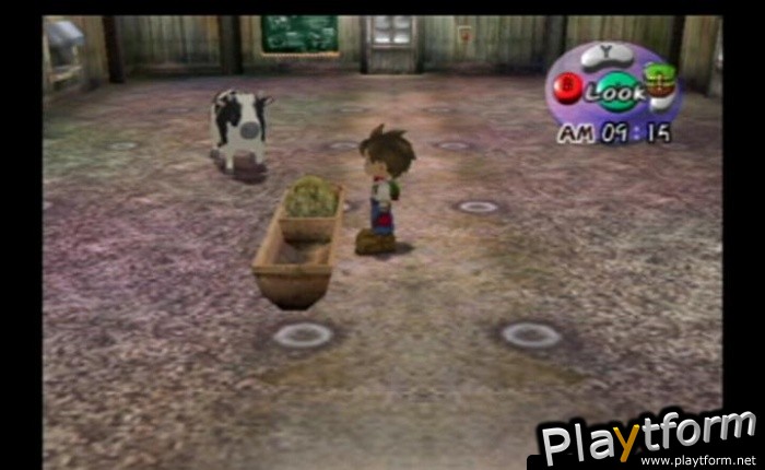 Harvest Moon: A Wonderful Life (GameCube)