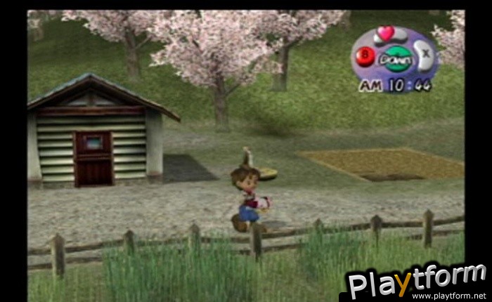 Harvest Moon: A Wonderful Life (GameCube)