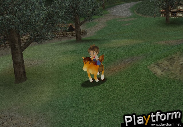 Harvest Moon: A Wonderful Life (GameCube)