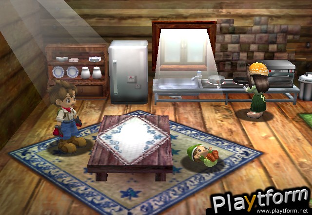 Harvest Moon: A Wonderful Life (GameCube)