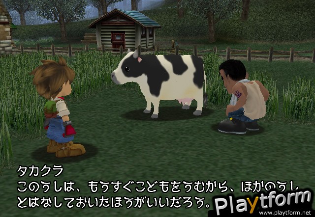 Harvest Moon: A Wonderful Life (GameCube)