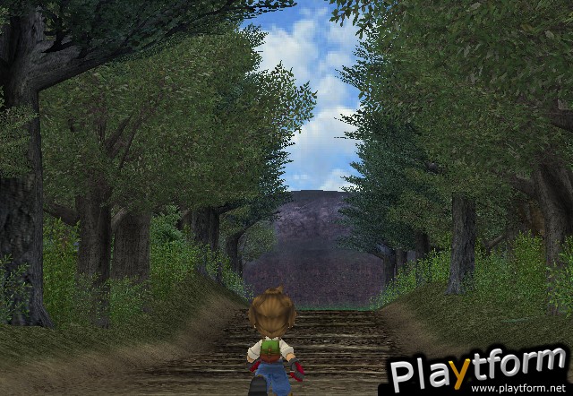 Harvest Moon: A Wonderful Life (GameCube)