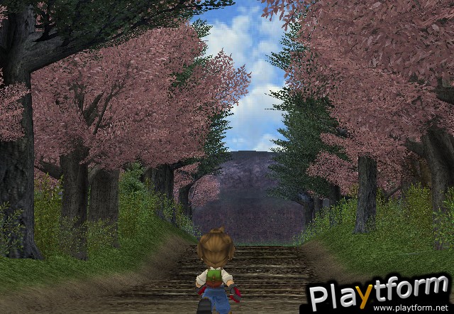 Harvest Moon: A Wonderful Life (GameCube)