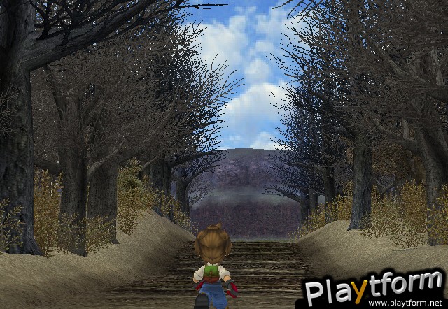 Harvest Moon: A Wonderful Life (GameCube)