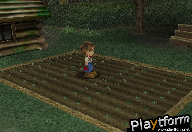 Harvest Moon: A Wonderful Life (GameCube)