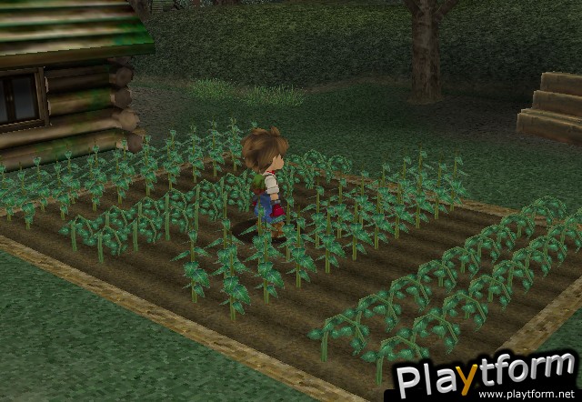 Harvest Moon: A Wonderful Life (GameCube)