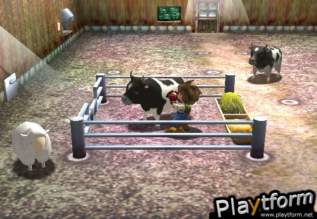 Harvest Moon: A Wonderful Life (GameCube)