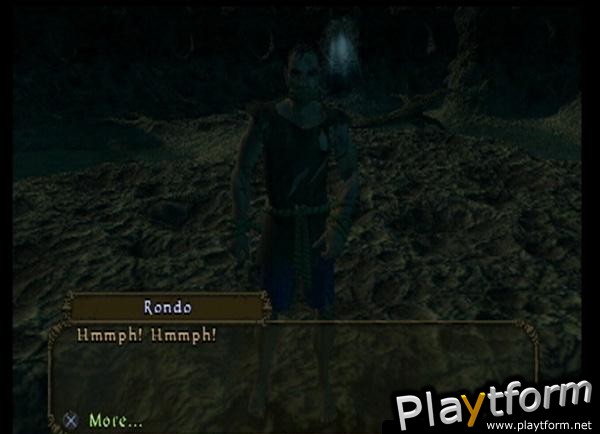 Champions of Norrath (PlayStation 2)
