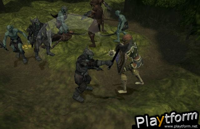 Champions of Norrath (PlayStation 2)