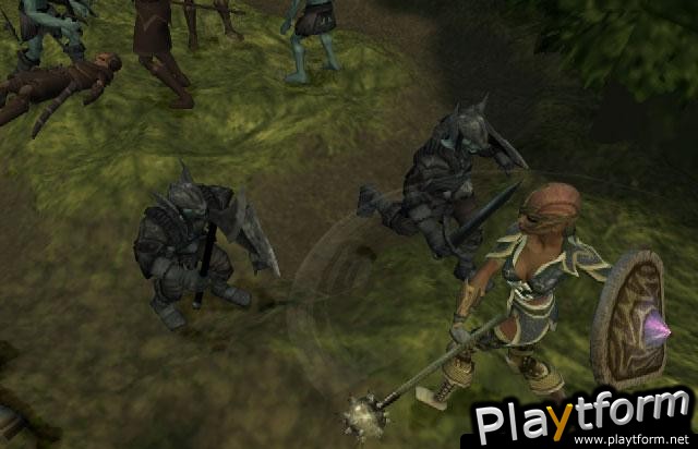 Champions of Norrath (PlayStation 2)