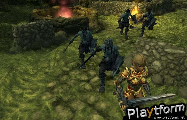 Champions of Norrath (PlayStation 2)