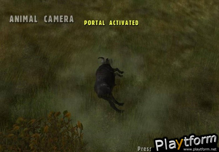 Cabela's Dangerous Hunts (PC)