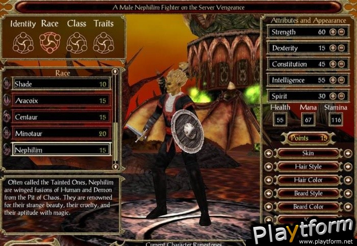 Shadowbane: The Rise of Chaos (PC)