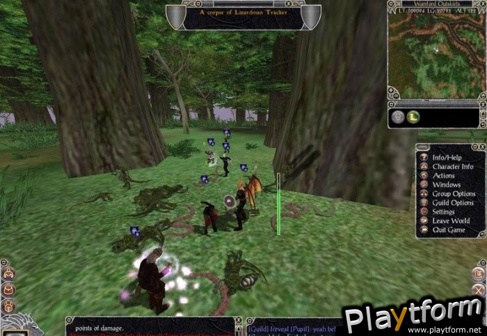 Shadowbane: The Rise of Chaos (PC)