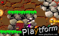 Woody Woodpecker Crazy Castle 5 (Game Boy Advance)