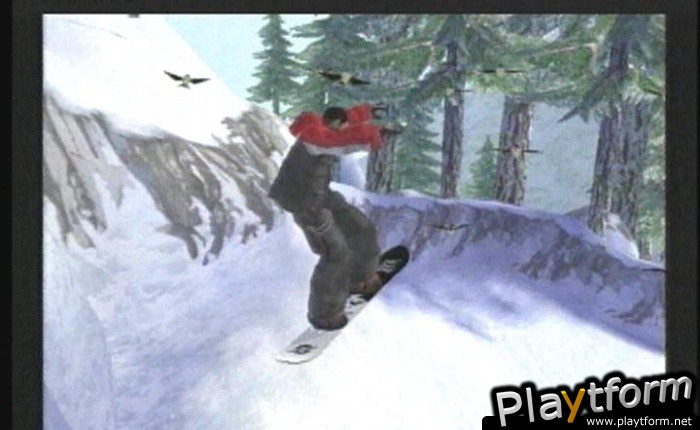 1080 Avalanche (GameCube)