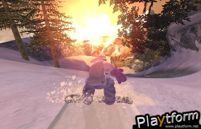 1080 Avalanche (GameCube)