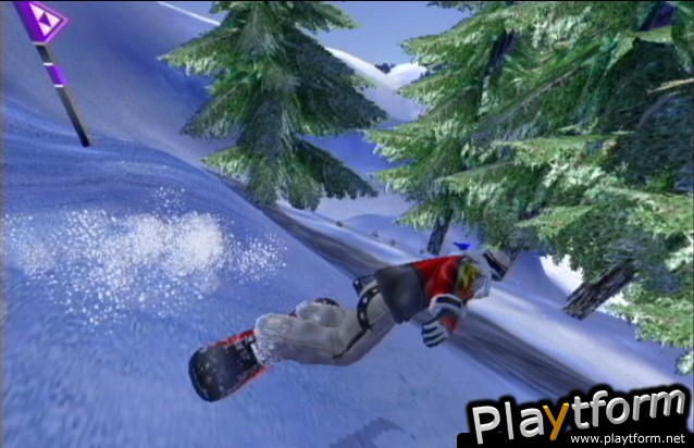 1080 Avalanche (GameCube)