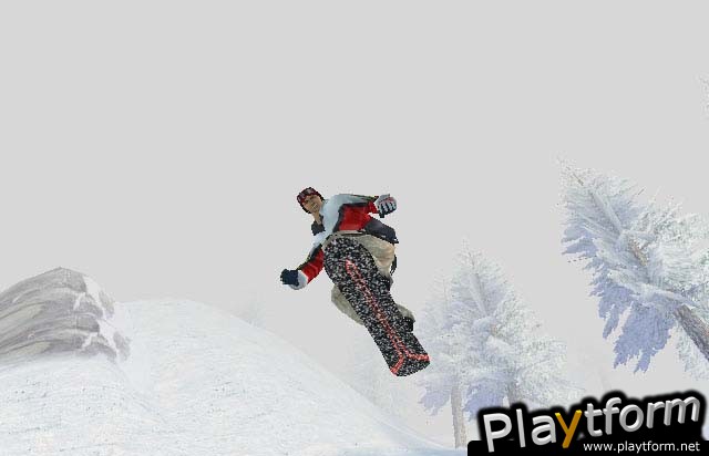 1080 Avalanche (GameCube)