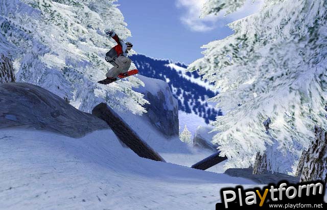 1080 Avalanche (GameCube)