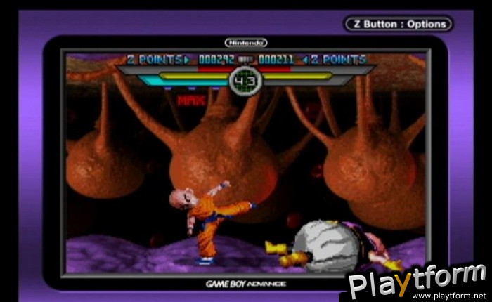 Dragon Ball Z: Taiketsu (Game Boy Advance)