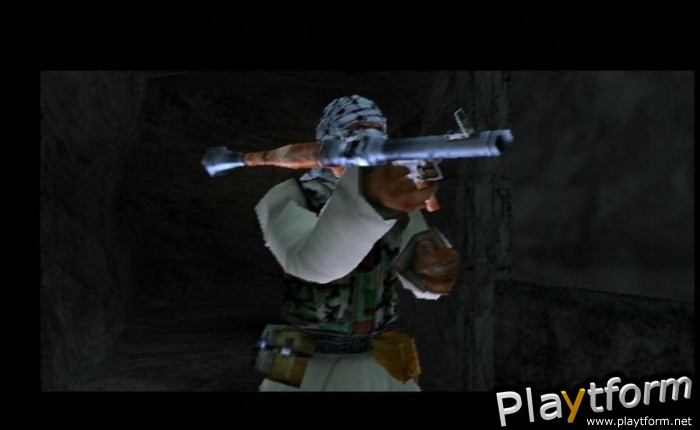 Fugitive Hunter: War on Terror (PlayStation 2)