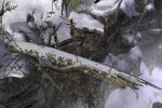 Syberia II (PC)