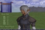 Final Fantasy XI (PlayStation 2)