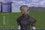 Final Fantasy XI (PlayStation 2)