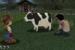 Harvest Moon: A Wonderful Life (GameCube)