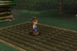 Harvest Moon: A Wonderful Life (GameCube)