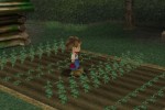 Harvest Moon: A Wonderful Life (GameCube)