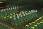 Harvest Moon: A Wonderful Life (GameCube)