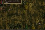 Jagged Alliance 2: Wildfire (PC)