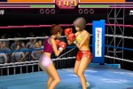 Heartbeat Boxing (PlayStation 2)