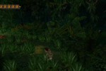 Pitfall: The Lost Expedition (PlayStation 2)