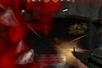Postal 2: Share the Pain (PC)