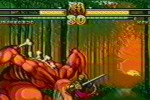 Samurai Shodown V (NeoGeo)