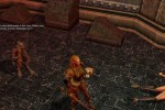 Neverwinter Nights: Hordes of the Underdark (PC)