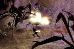 Neverwinter Nights: Hordes of the Underdark (PC)